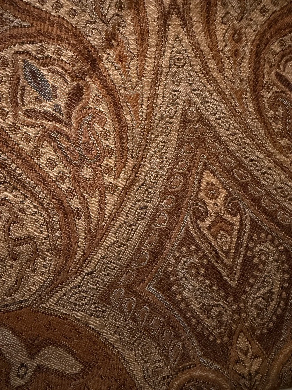 Restoration Hardware Paisley Print Fringe Throw